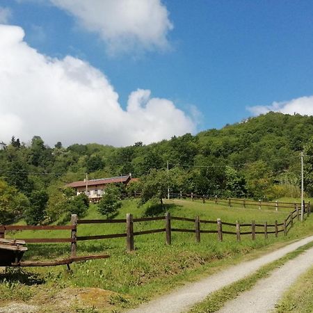 Bed and Breakfast La Casa In Collina Cinzano Экстерьер фото